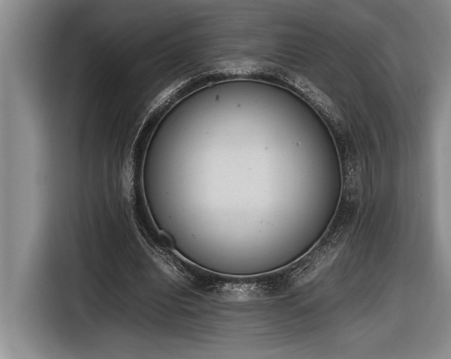 X0000116880440200912221429