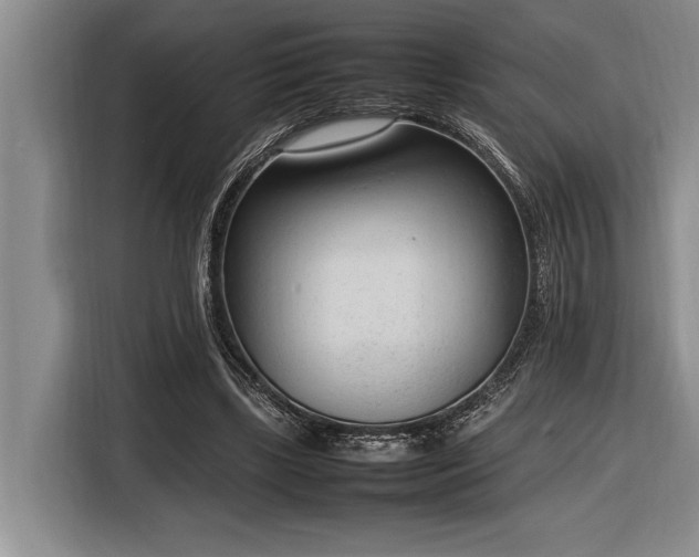 X0000116880443200912221429
