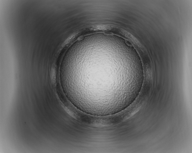 X0000116880444200912221429
