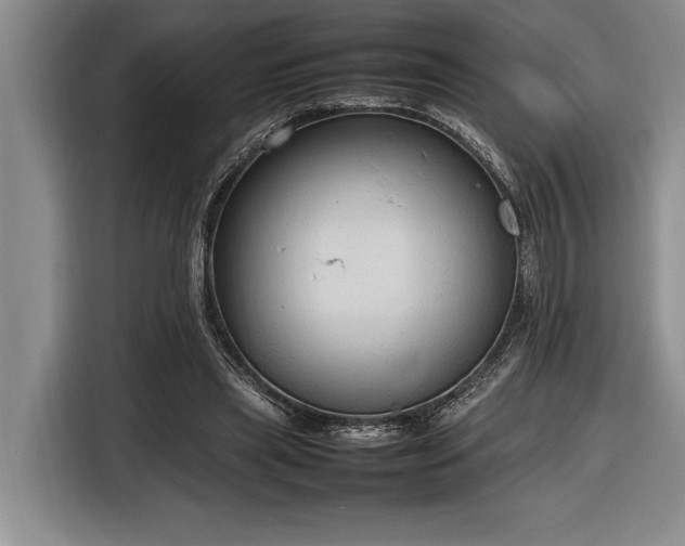 X0000116880445200912221429