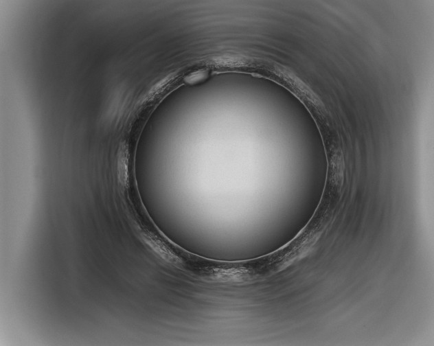 X0000116880446200912221429