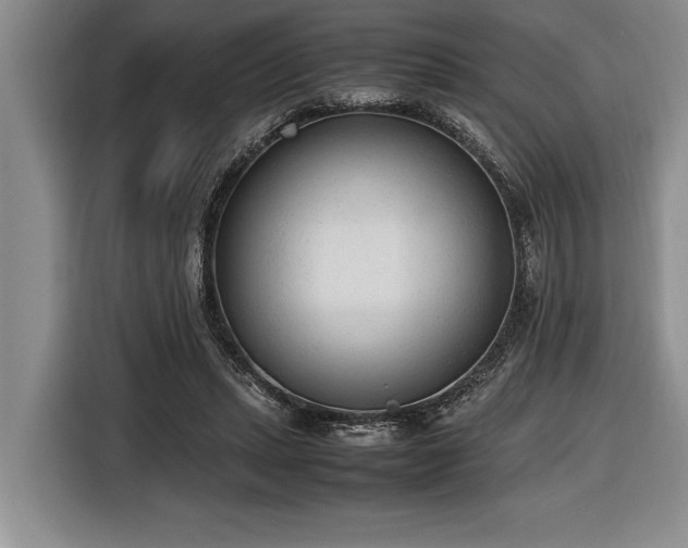 X0000116880447200912221429