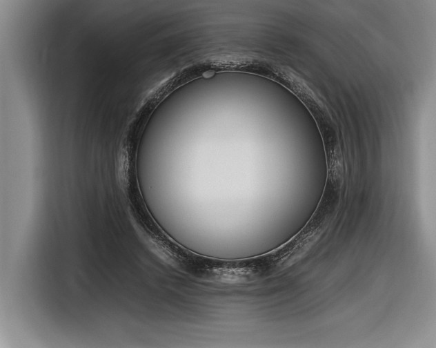X0000116880448200912221429
