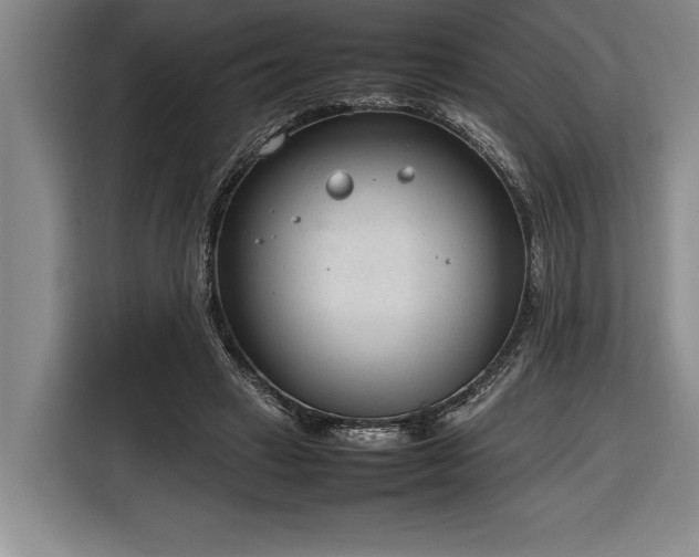X0000116880449200912221429