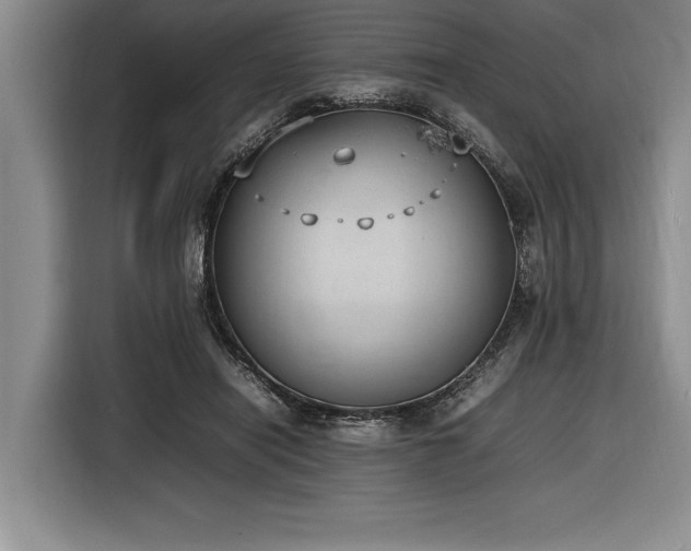 X0000116880454200912221429