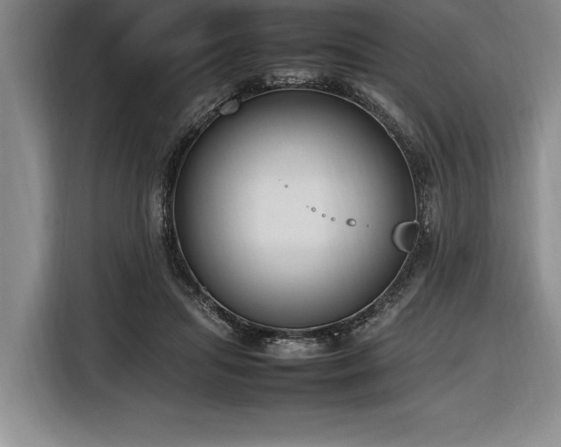 X0000116880455200912221429