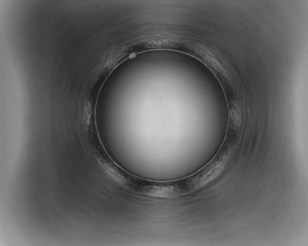 X0000116880458200912221429