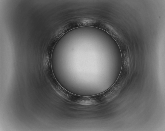 X0000116880459200912221429