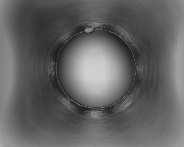 X0000116880462200912221429