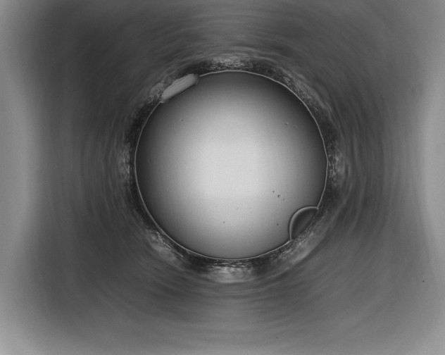 X0000116880466200912221429
