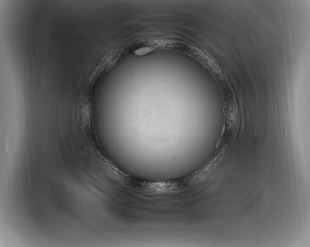 X0000116880473200912221429