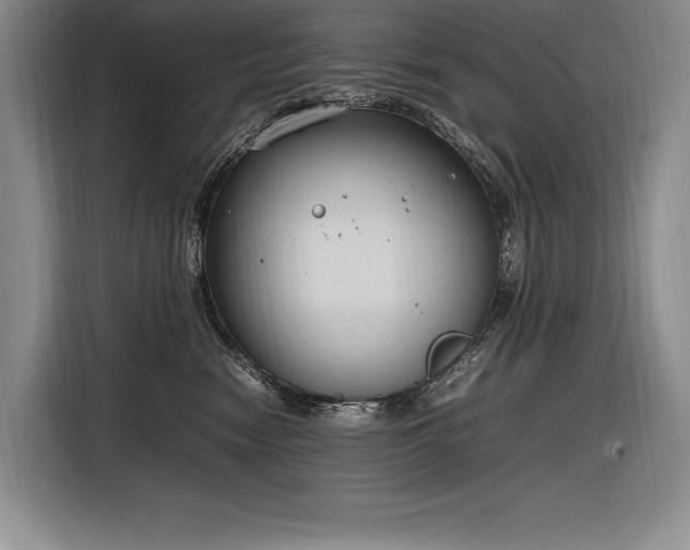 X0000116880474200912221429