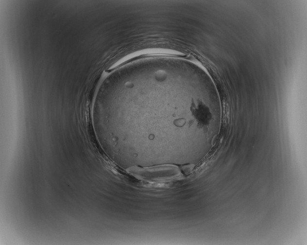 X0000116880475200912221429