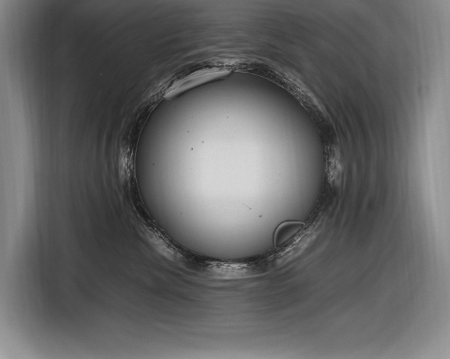 X0000116880476200912221429