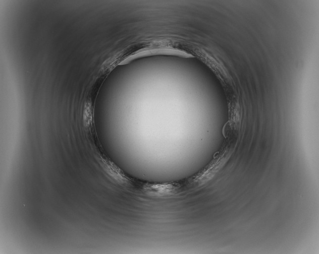 X0000116880478200912221429