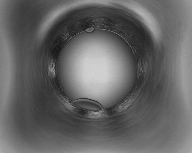 X0000116880479200912221429