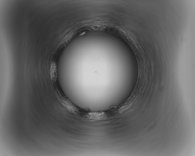 X0000116880480200912221429