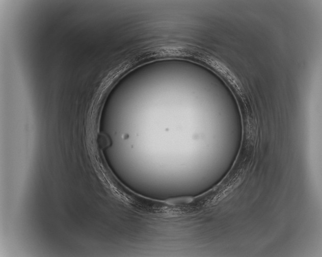 X0000116880481200912221428