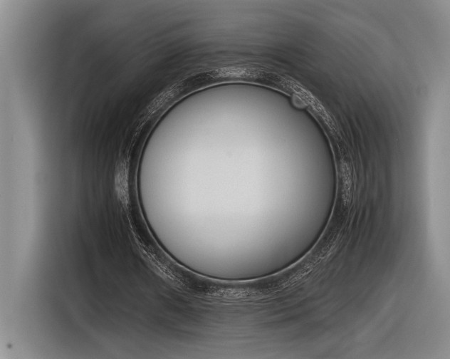 X0000116880482200912221428