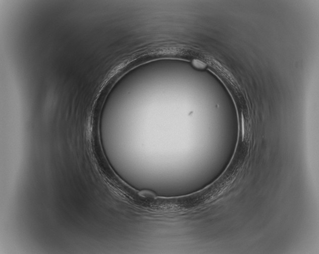 X0000116880483200912221428