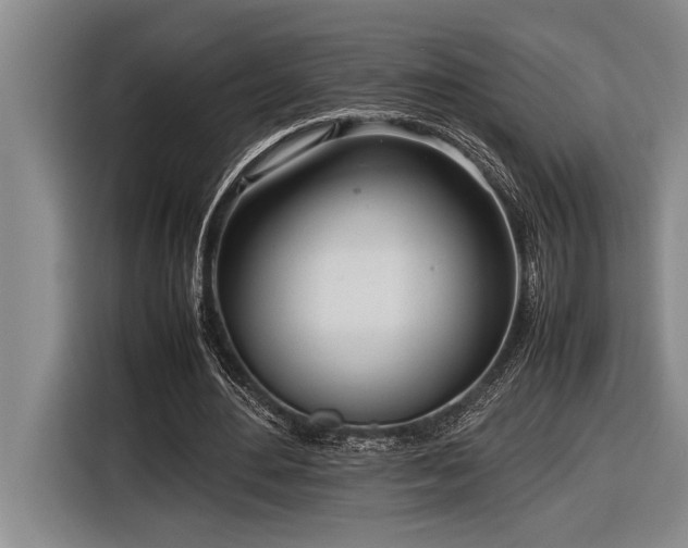 X0000116880484200912221428