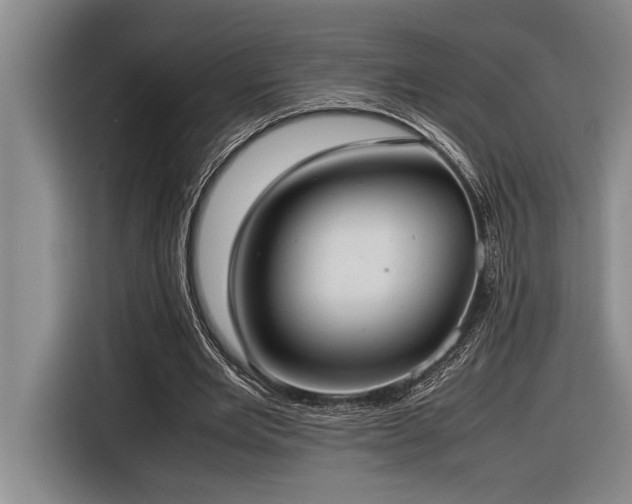 X0000116880485200912221428