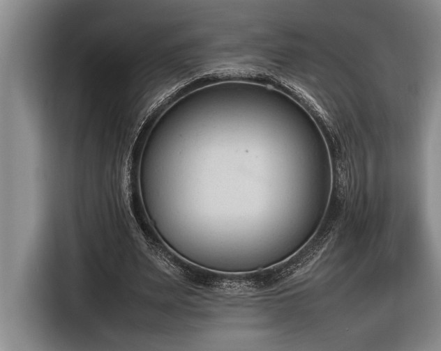 X0000116880487200912221428