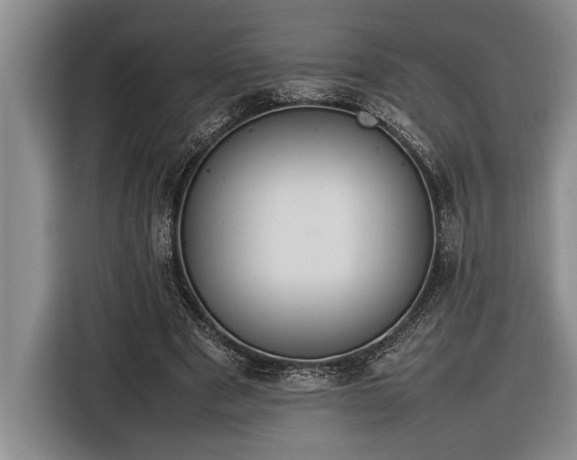 X0000116880489200912221428