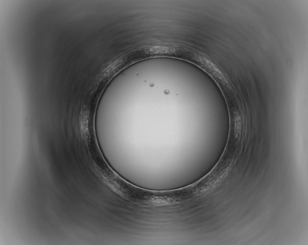 X0000116880490200912221428