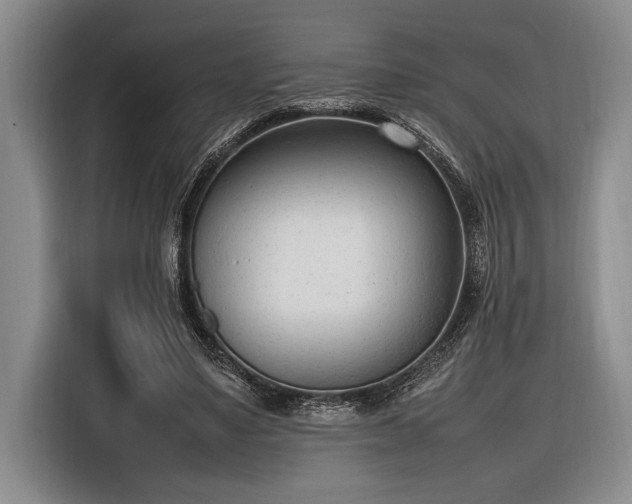 X0000116880491200912221428