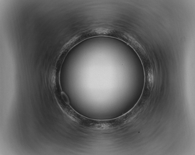 X0000116880492200912221428