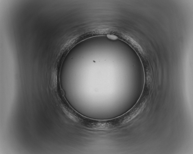 X0000116880493200912221428
