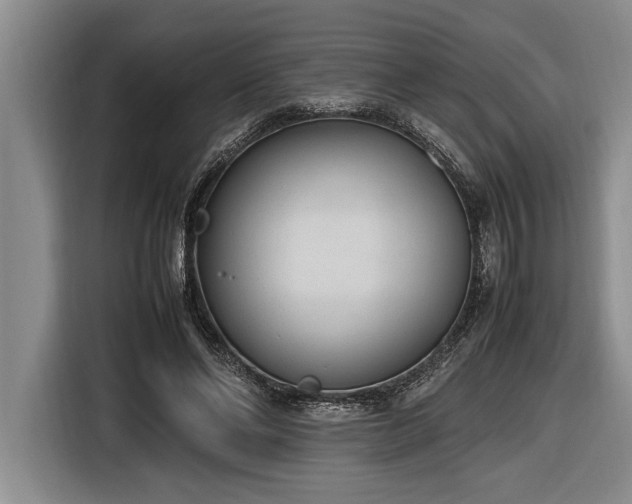 X0000116880494200912221428