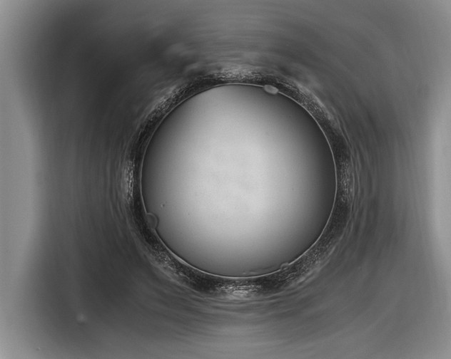 X0000116880495200912221428