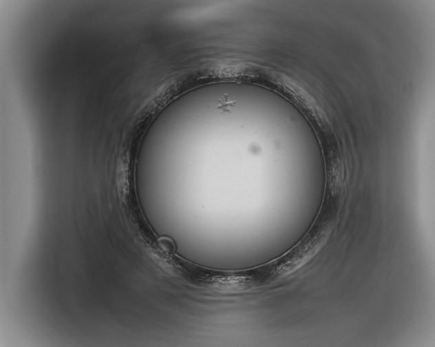 X0000116880497200912221428