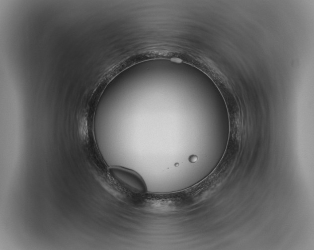 X0000116880500200912221428