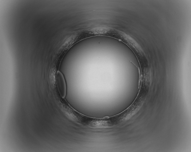 X0000116880501200912221428