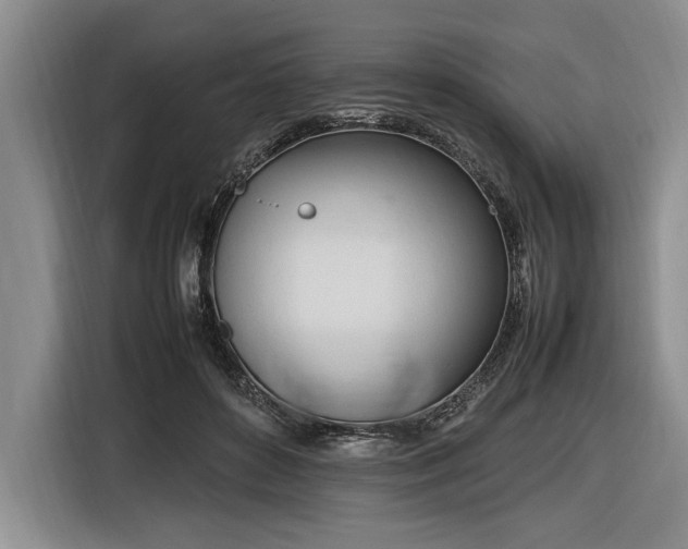 X0000116880504200912221428