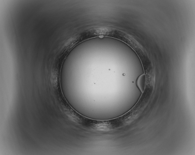 X0000116880505200912221428