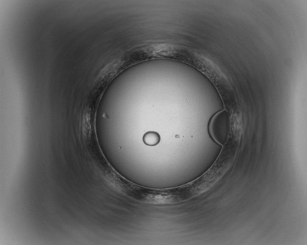 X0000116880506200912221428