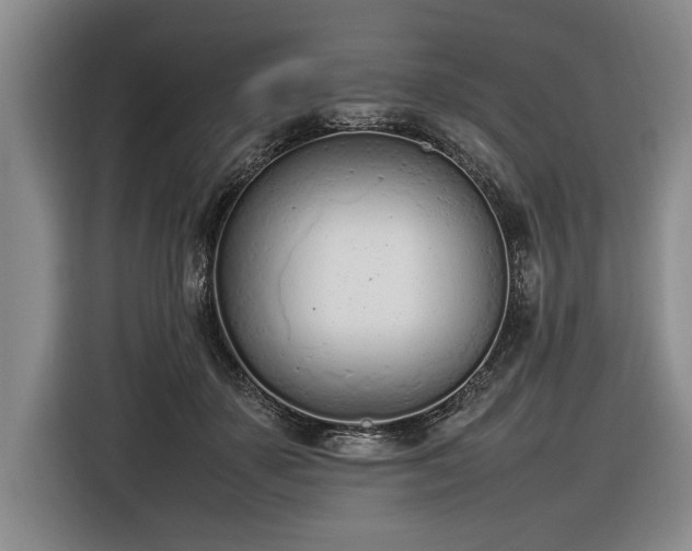 X0000116880507200912221428