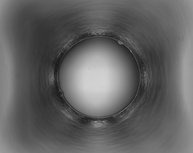 X0000116880508200912221428
