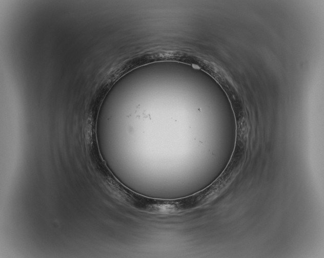 X0000116880509200912221428