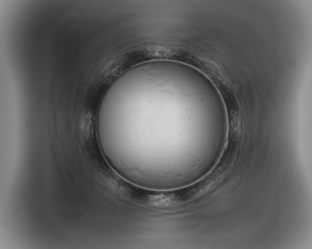 X0000116880511200912221428