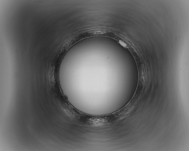 X0000116880512200912221428