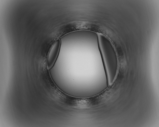 X0000116880513200912221428