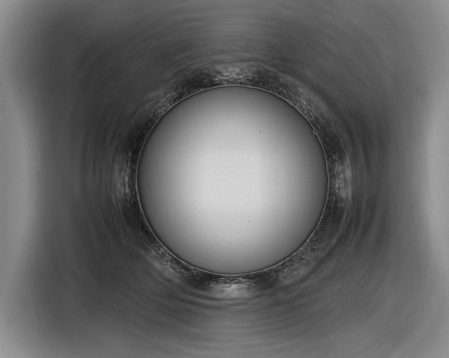 X0000116880514200912221428
