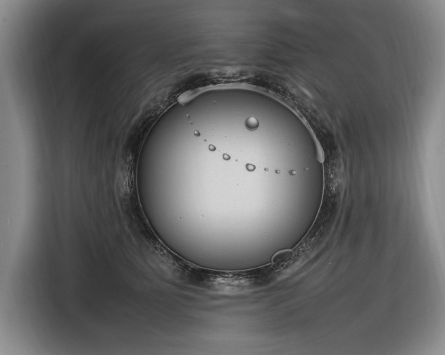 X0000116880515200912221428