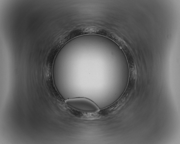 X0000116880517200912221428