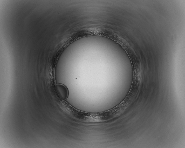 X0000116880518200912221428